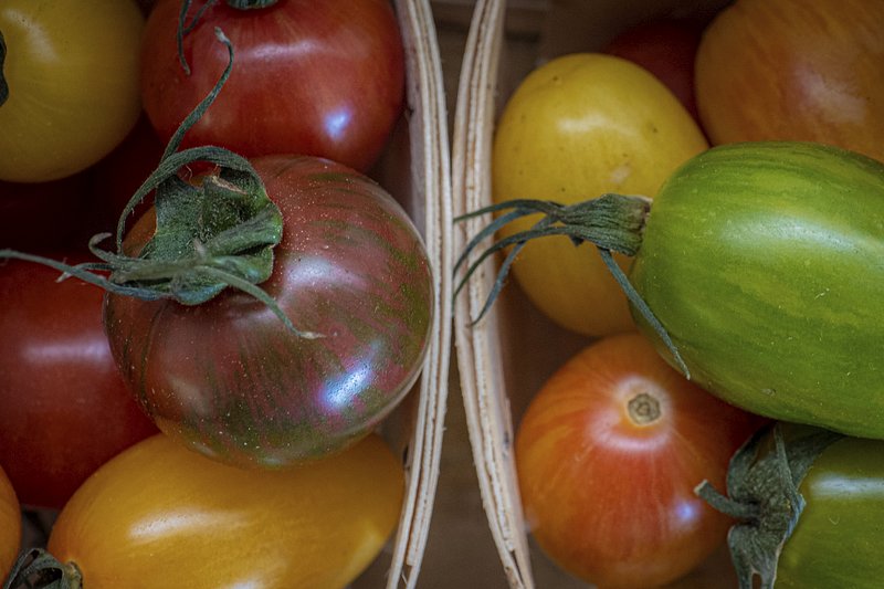 Growing Peppers Indoors – Guidelines & Tips