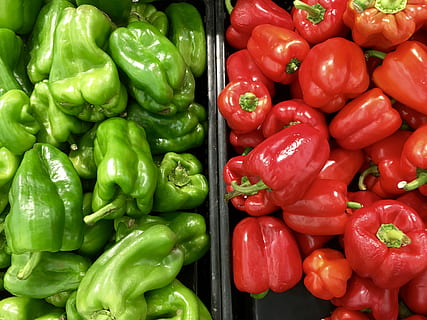 Growing Peppers Indoors – Guidelines & Tips